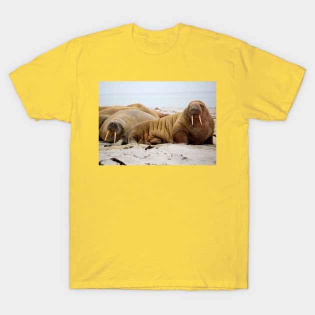 Wild life design T-Shirt by GenesisClothing